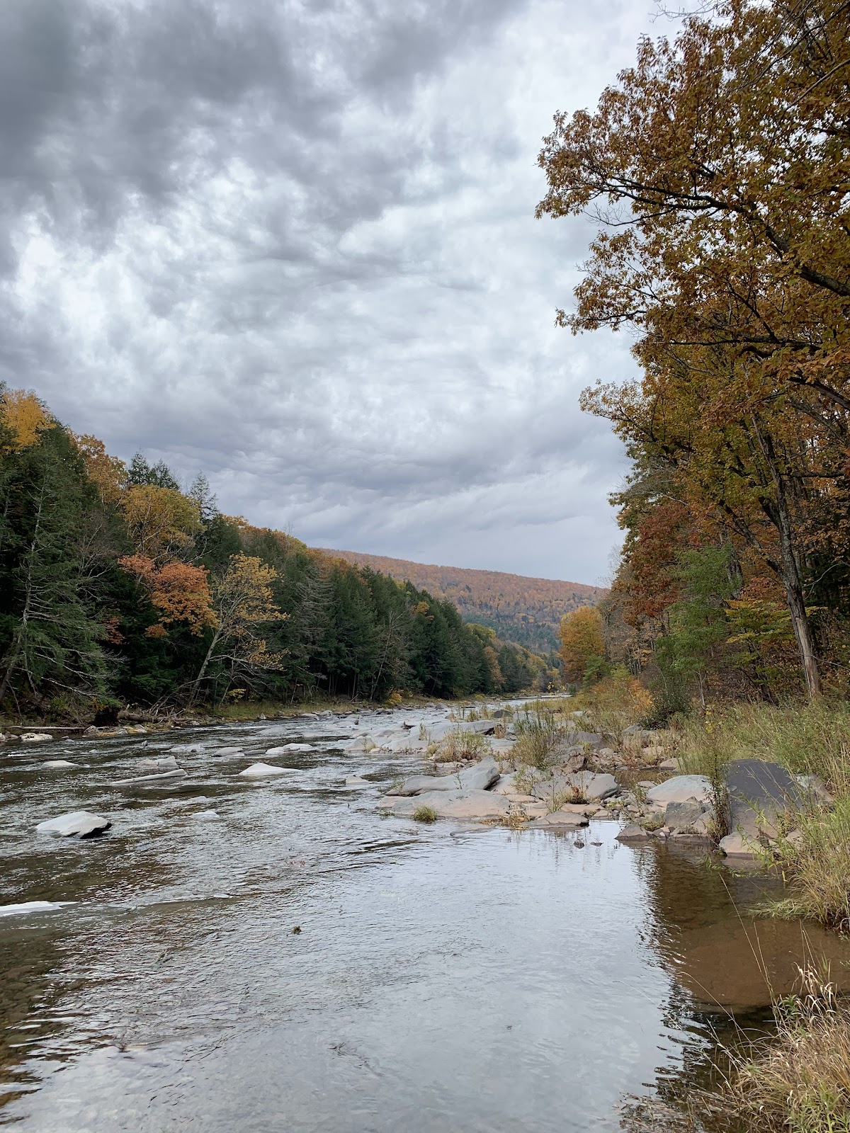 Schoharie Creek