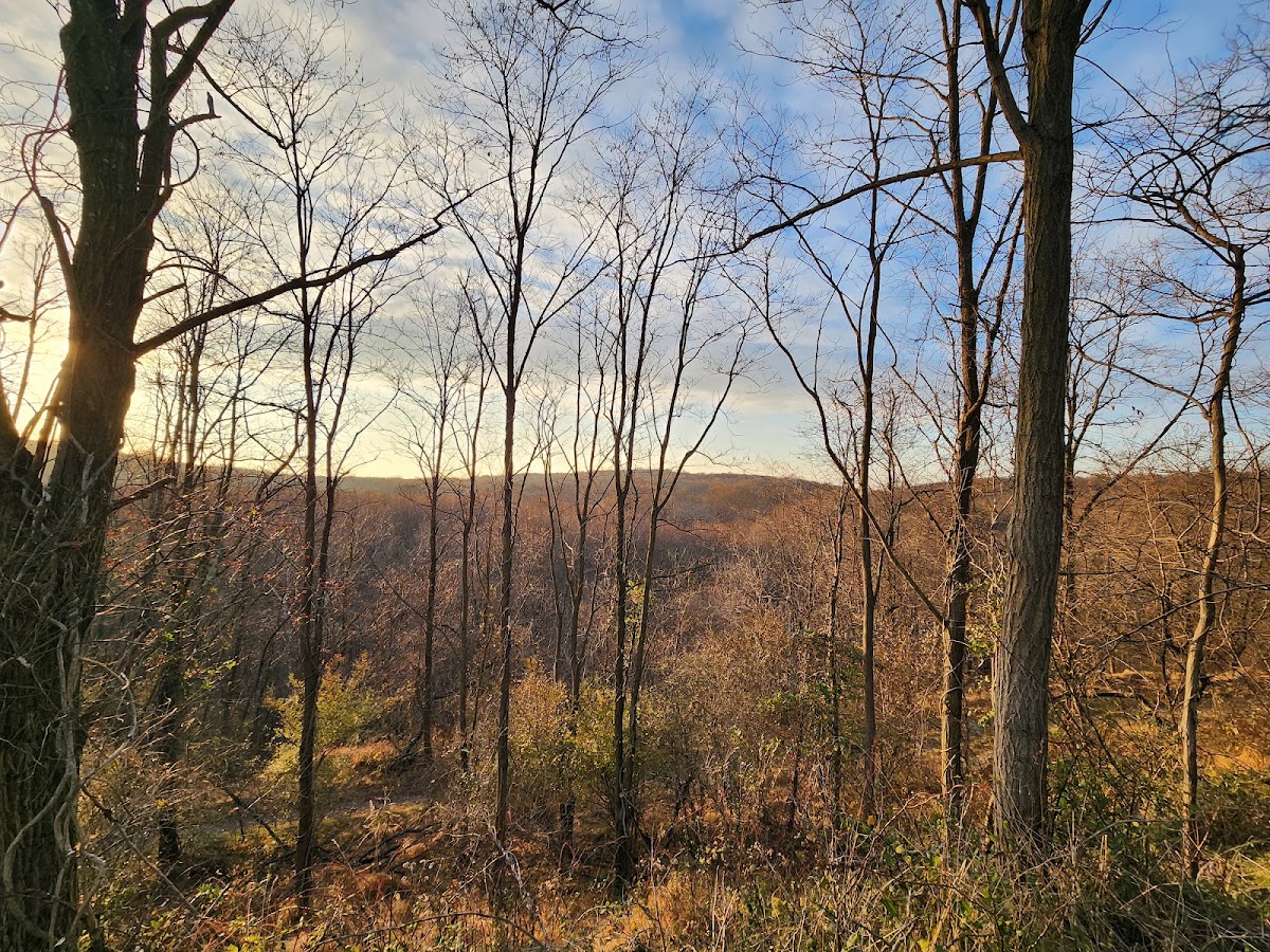 Willowbrook Parkway