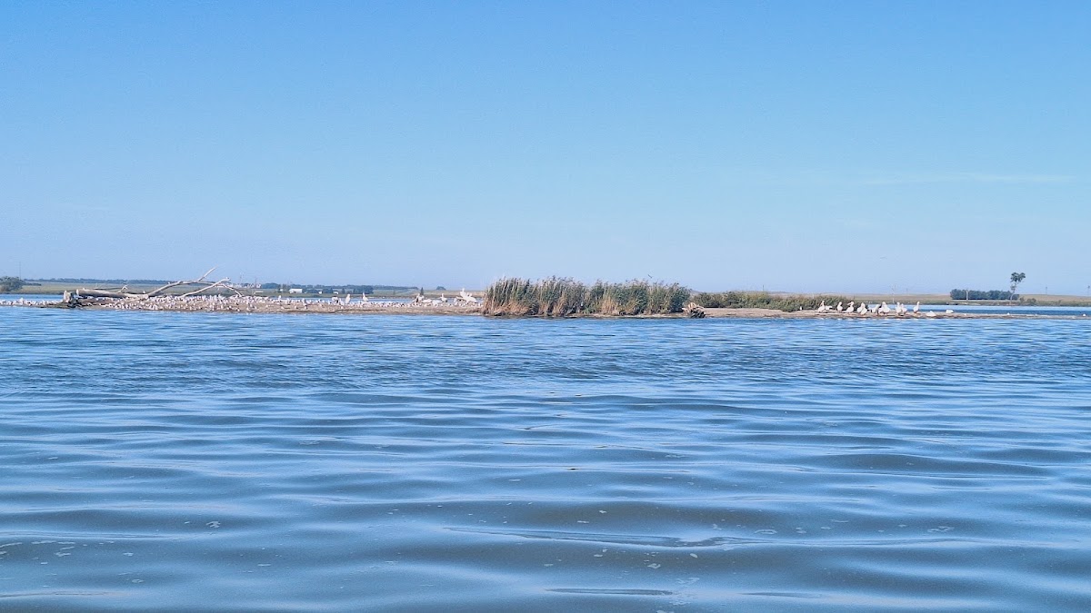 West Lake North