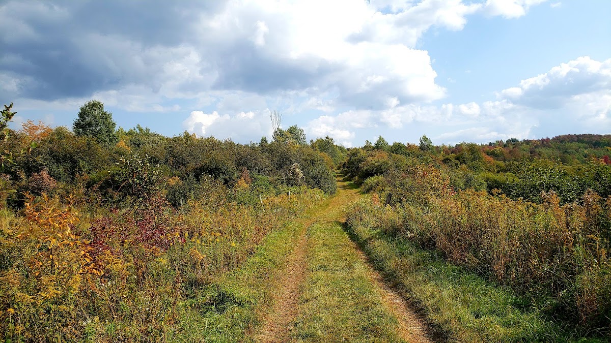 Eugene D. Moran Wildlife Management Area