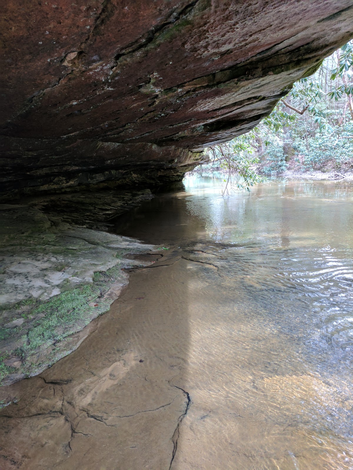 Bark Camp Creek