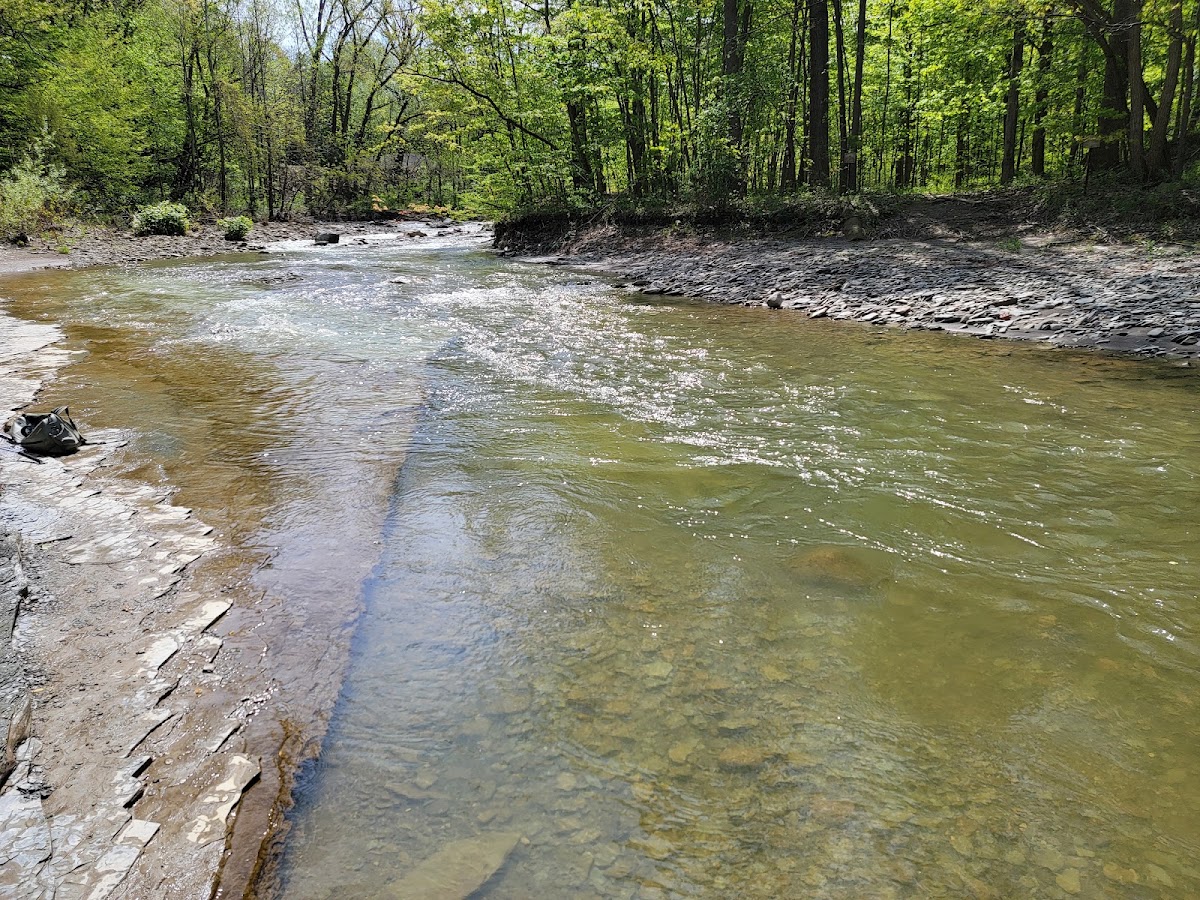 Chautauqua Creek