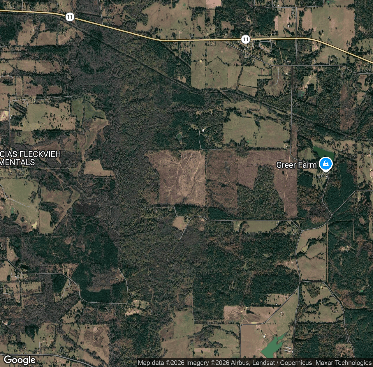 Boggy Creek