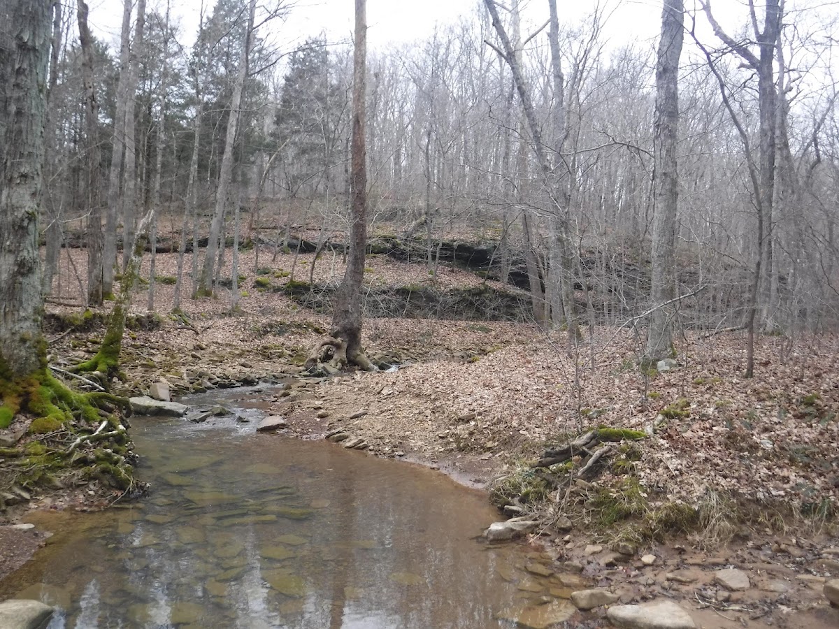 Lusk Creek Trail