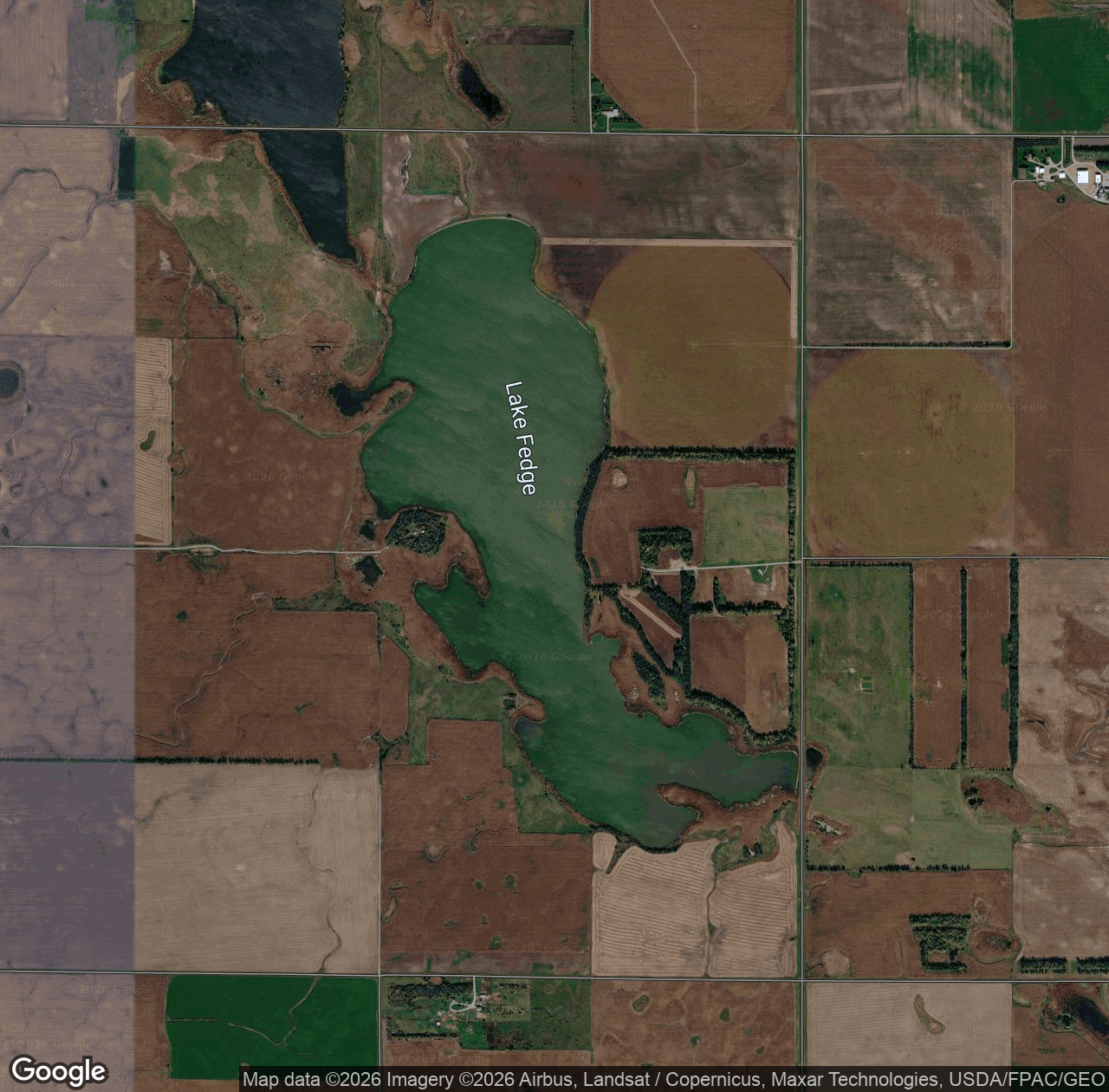 Lake Fedge