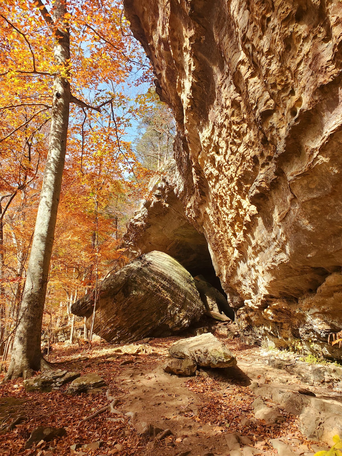 Sentry Bluff Trail