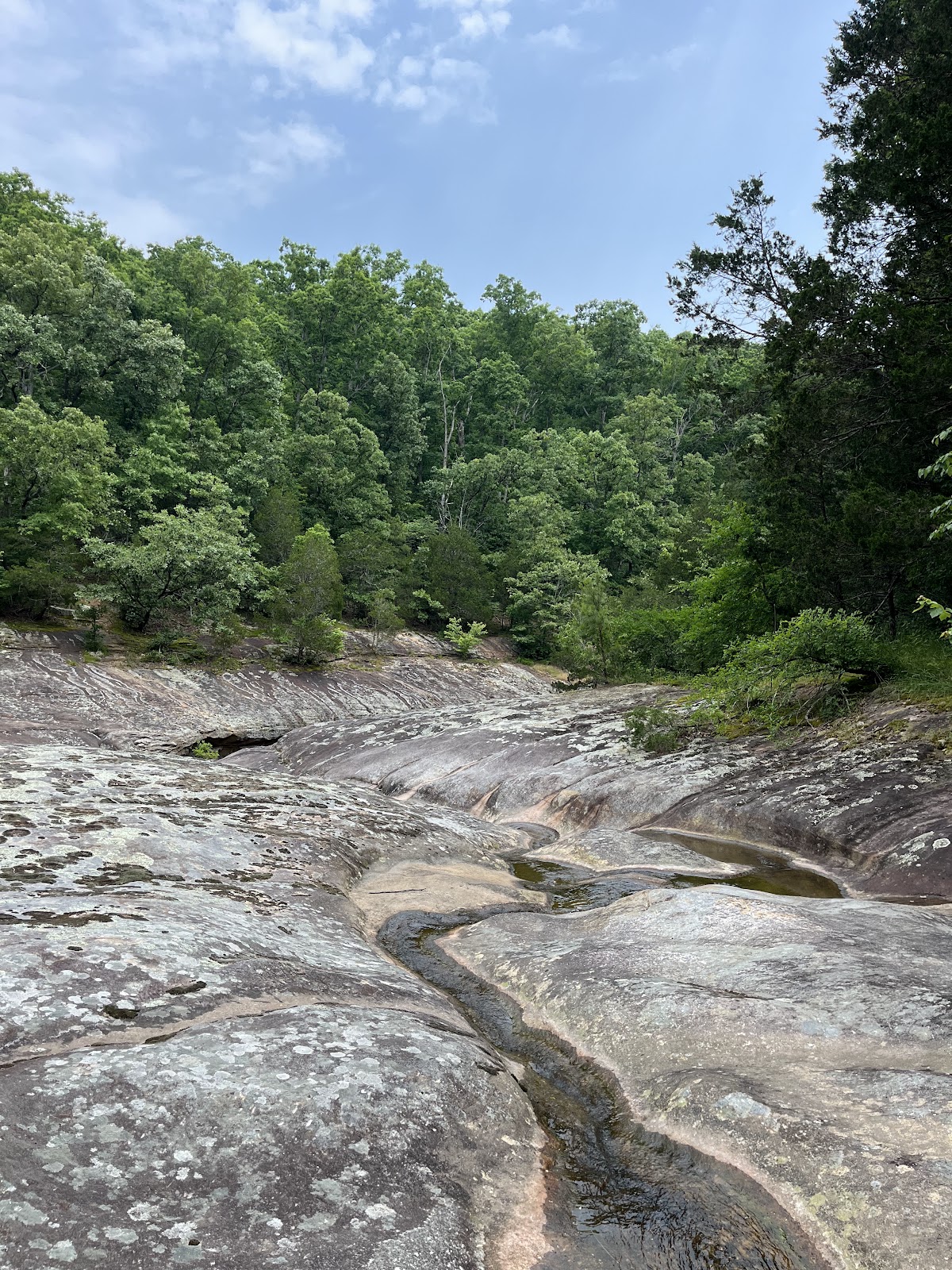 Hill Branch Trail