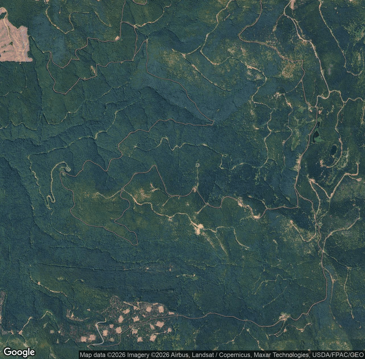 Nisqually Community Forest