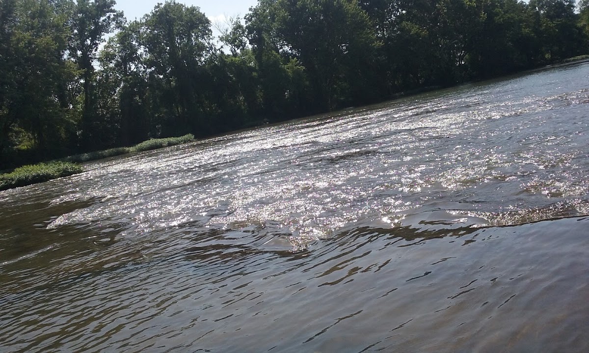Shoal Creek