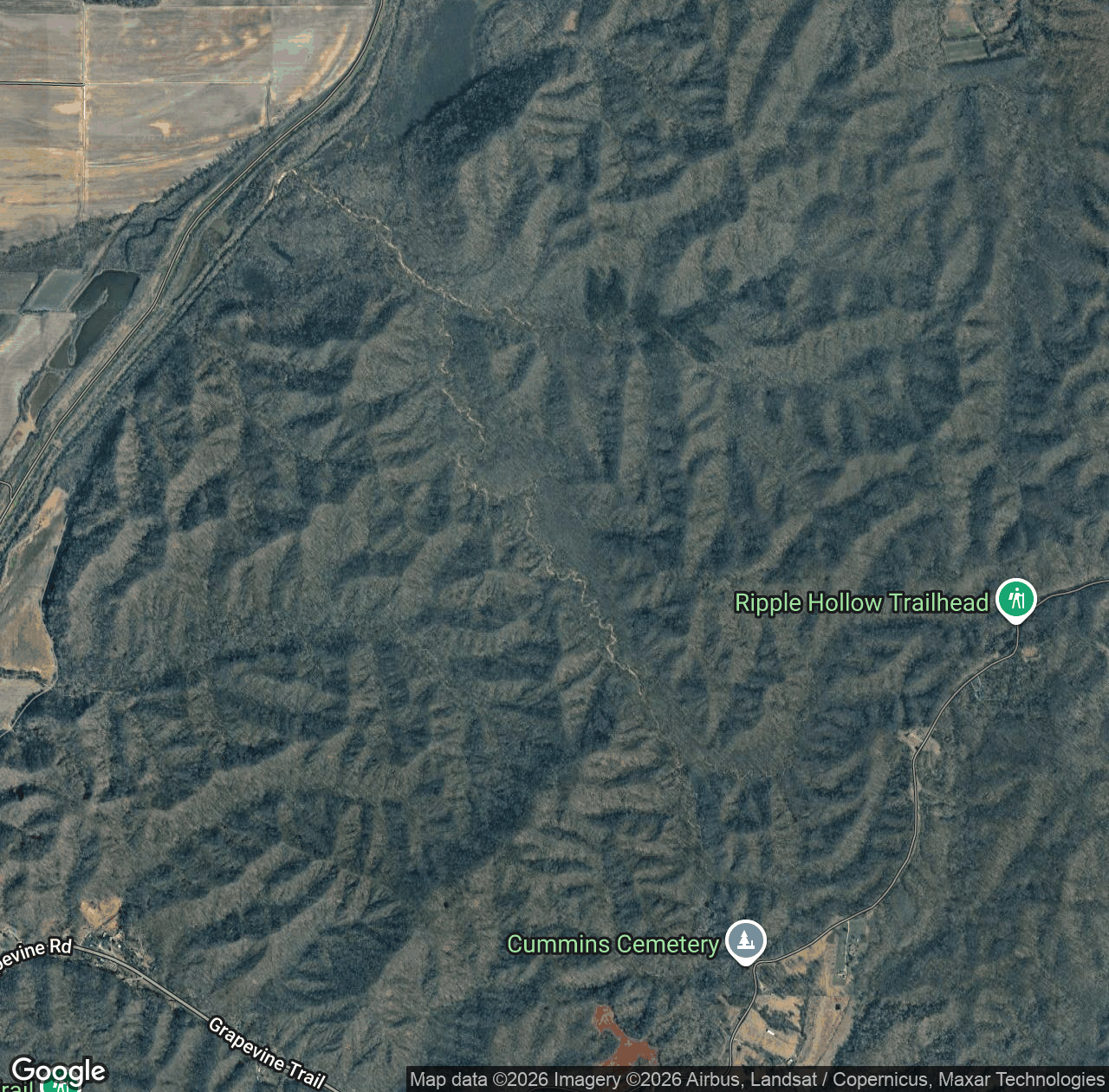South Ripple Hollow