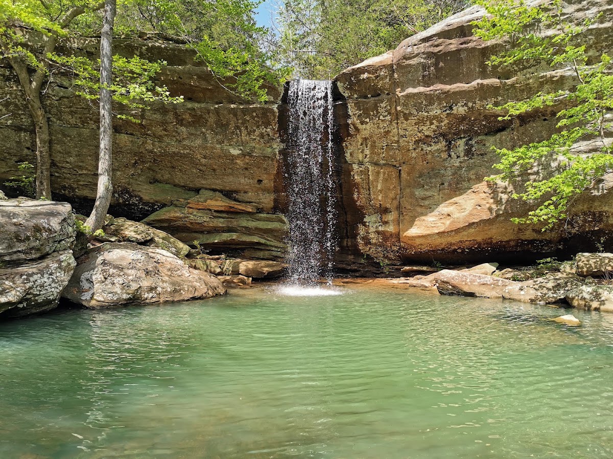 Jackson Falls