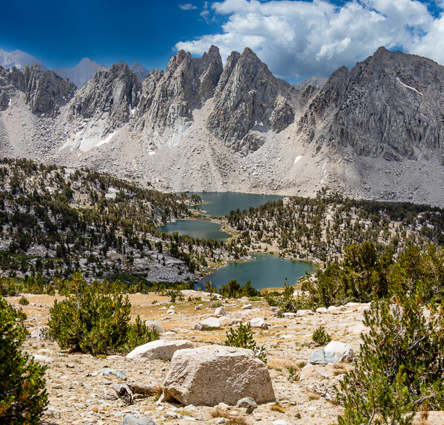 Junction Pass Trail