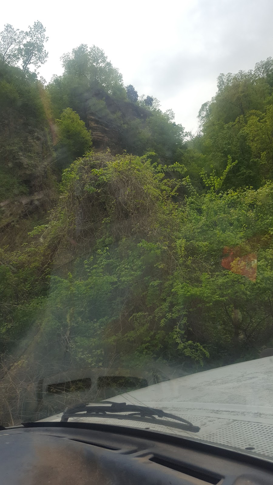 Fountain Bluff