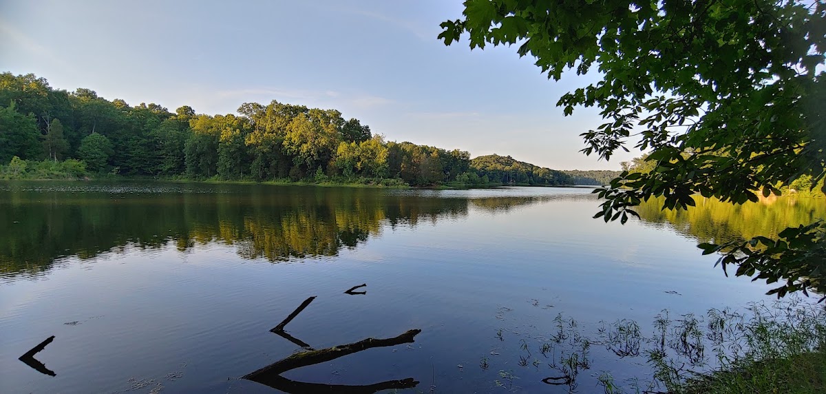 Cove Hollow
