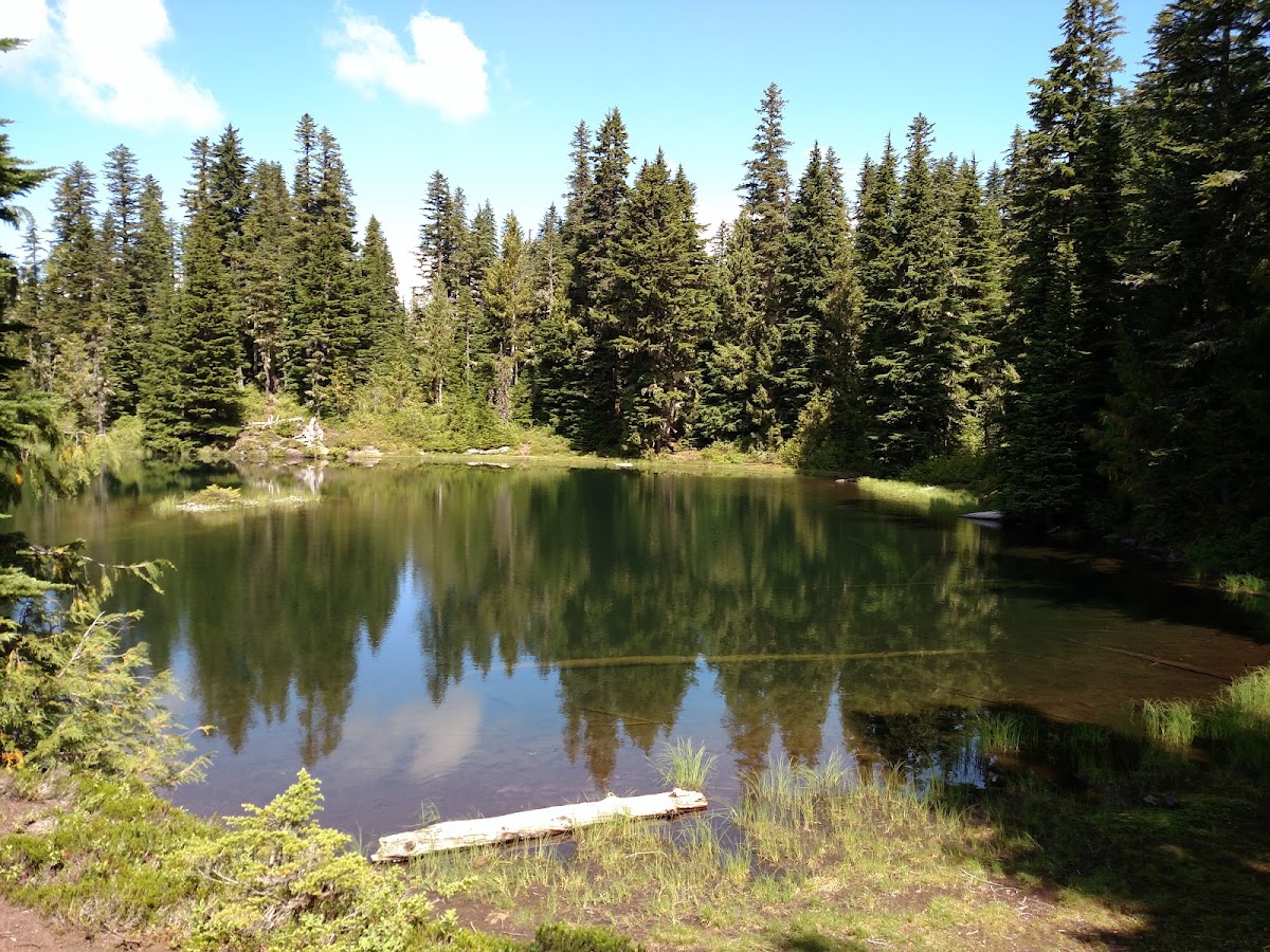 Golden Lakes