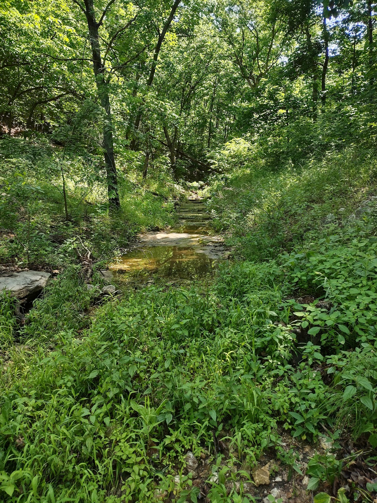 Joanna Trail