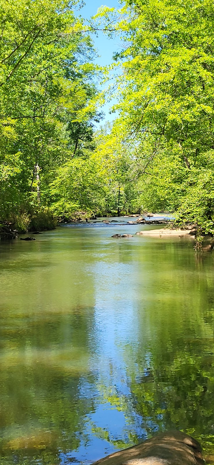 Ocmulgee River