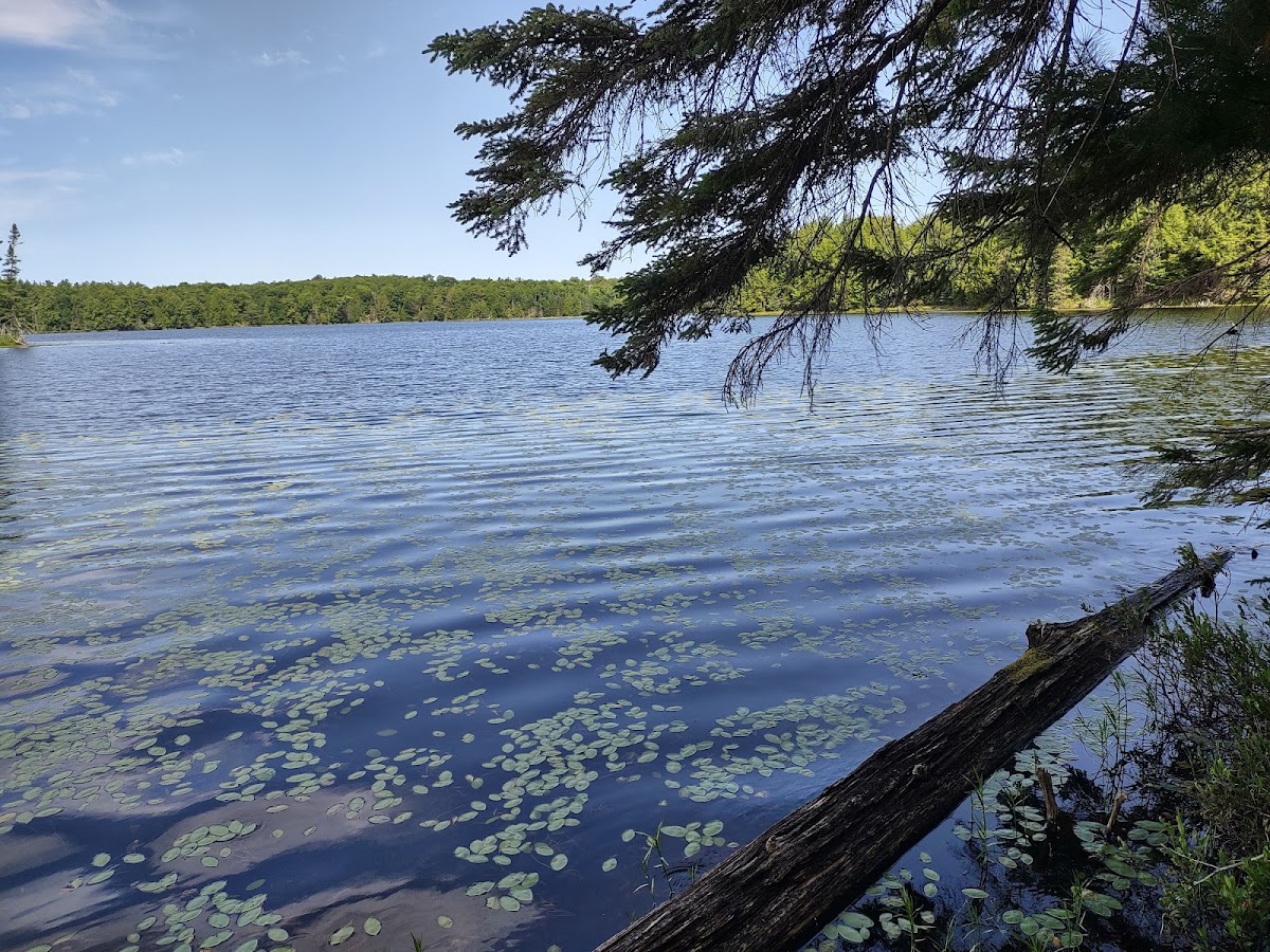 West Bear Lake