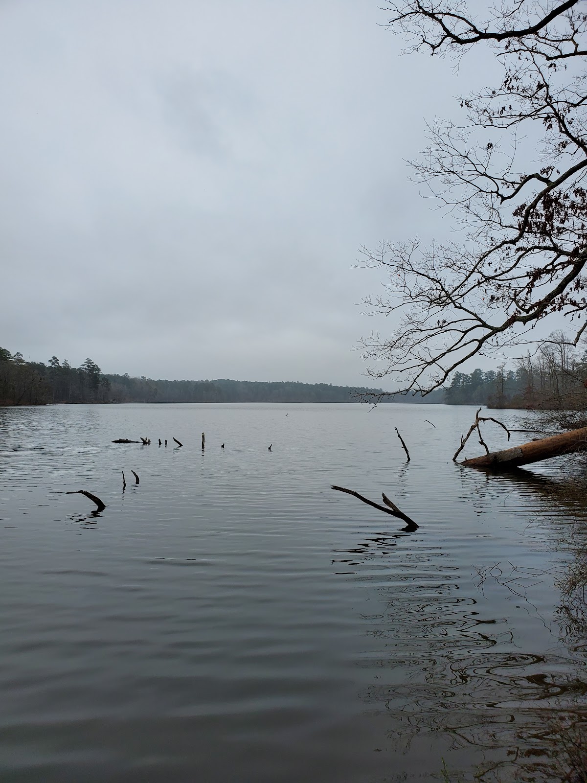 Lake Rutledge