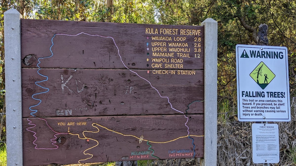 Waiakoa Loop Trail