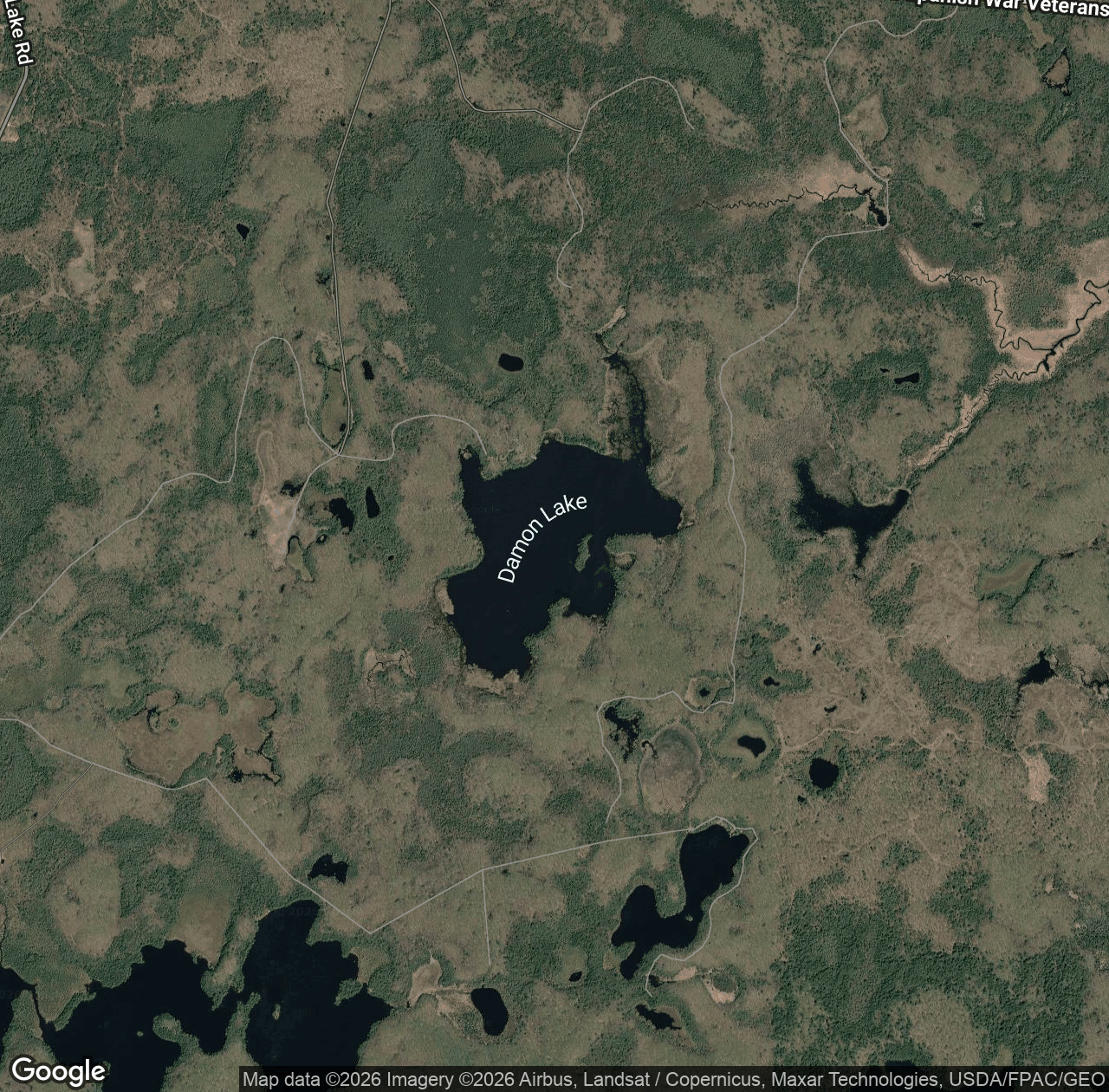 Damon Lake