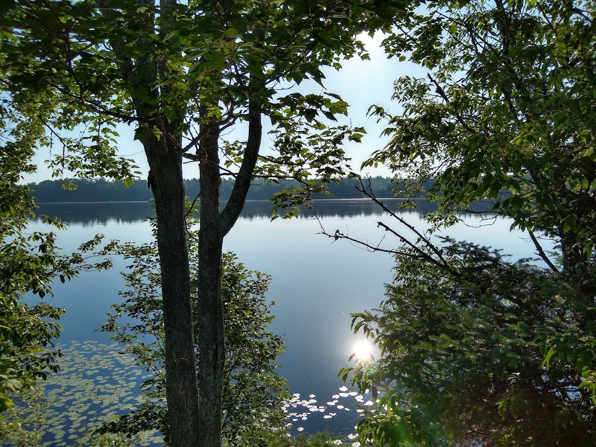 Paint Lake