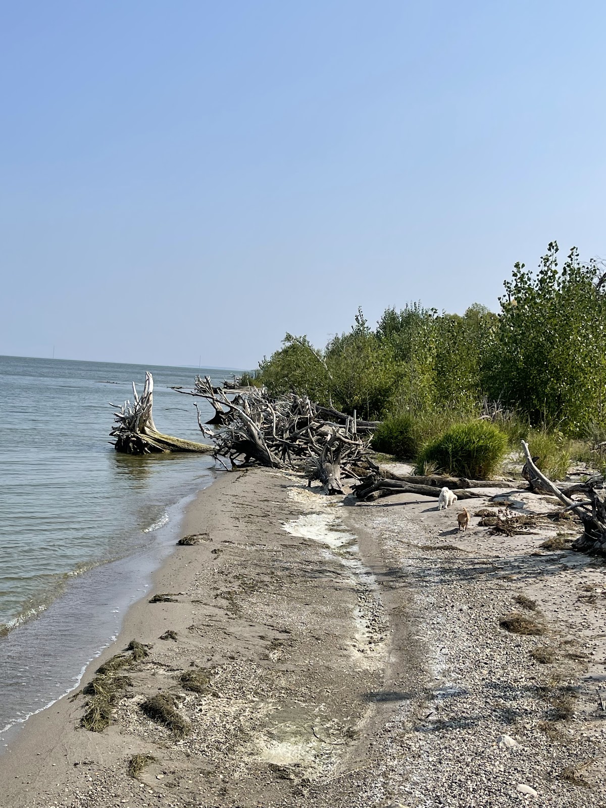 Grahams Island State Park