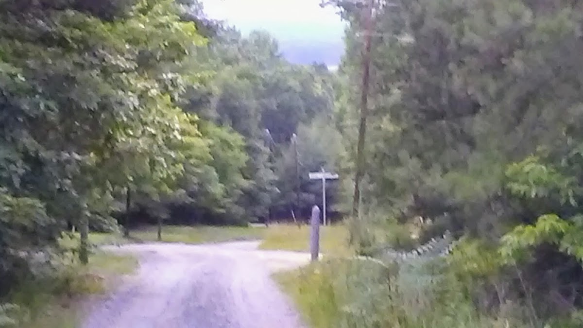 Wolf Run