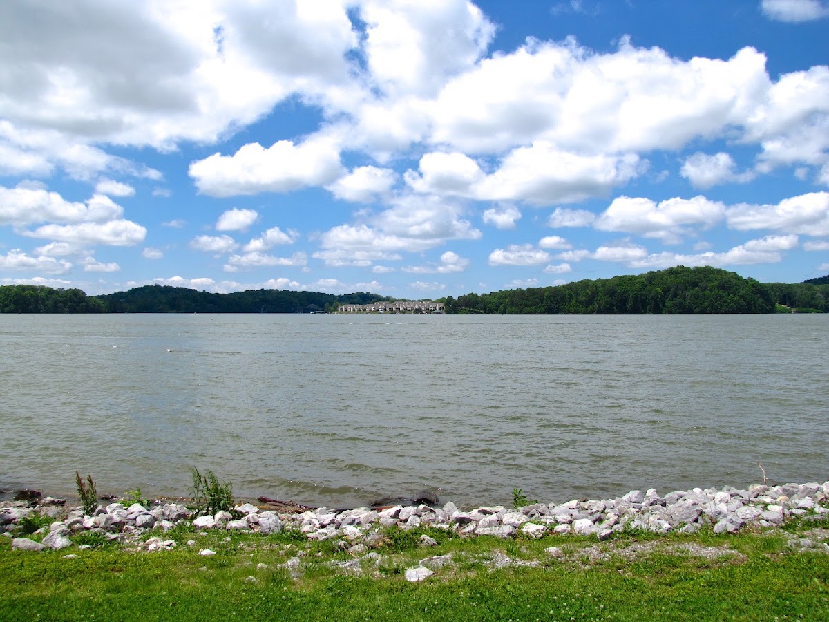 Fort Loudoun Lake