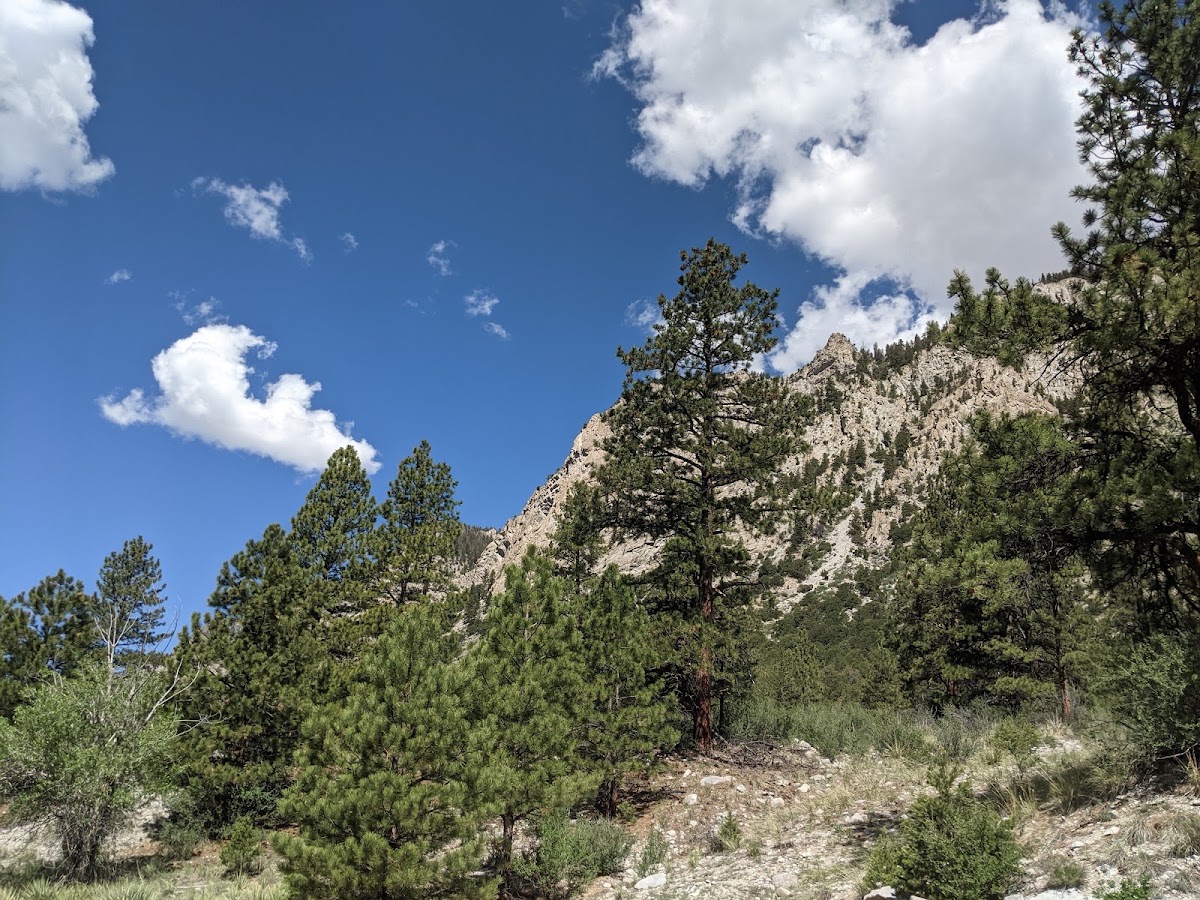Colorado Trail (Segment 14)