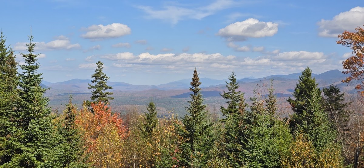 Cooley-Jericho Community Forest
