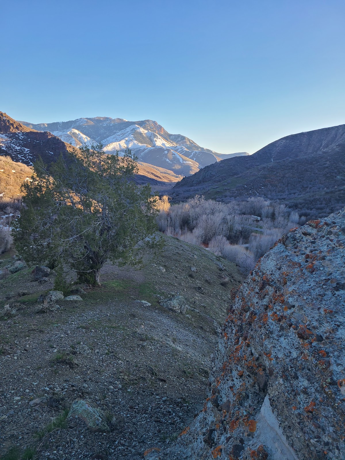 Pole Creek