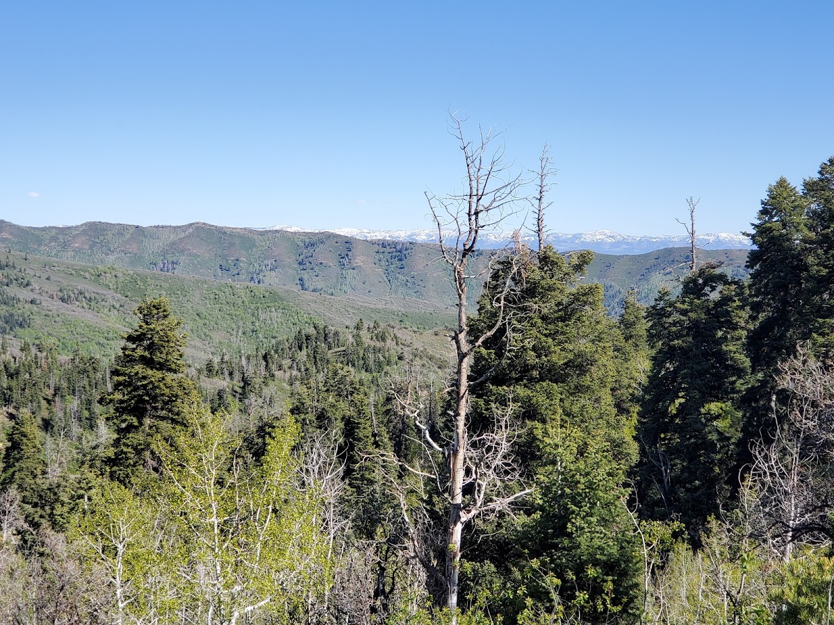 Summit Trail