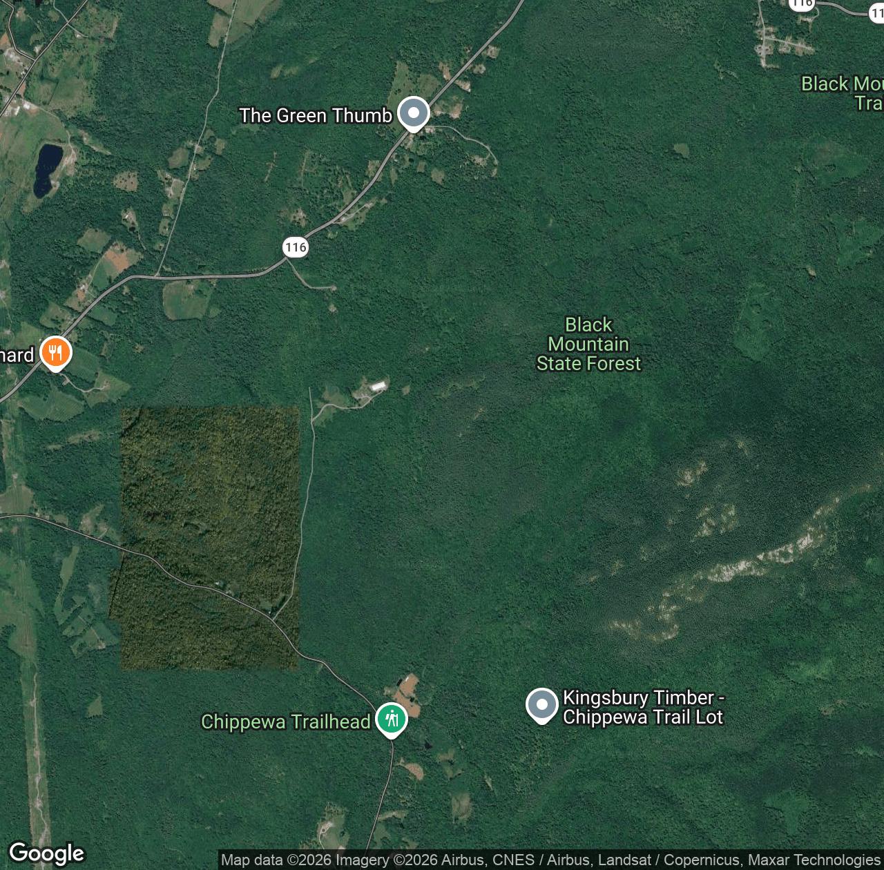 Black Mountain State Forest