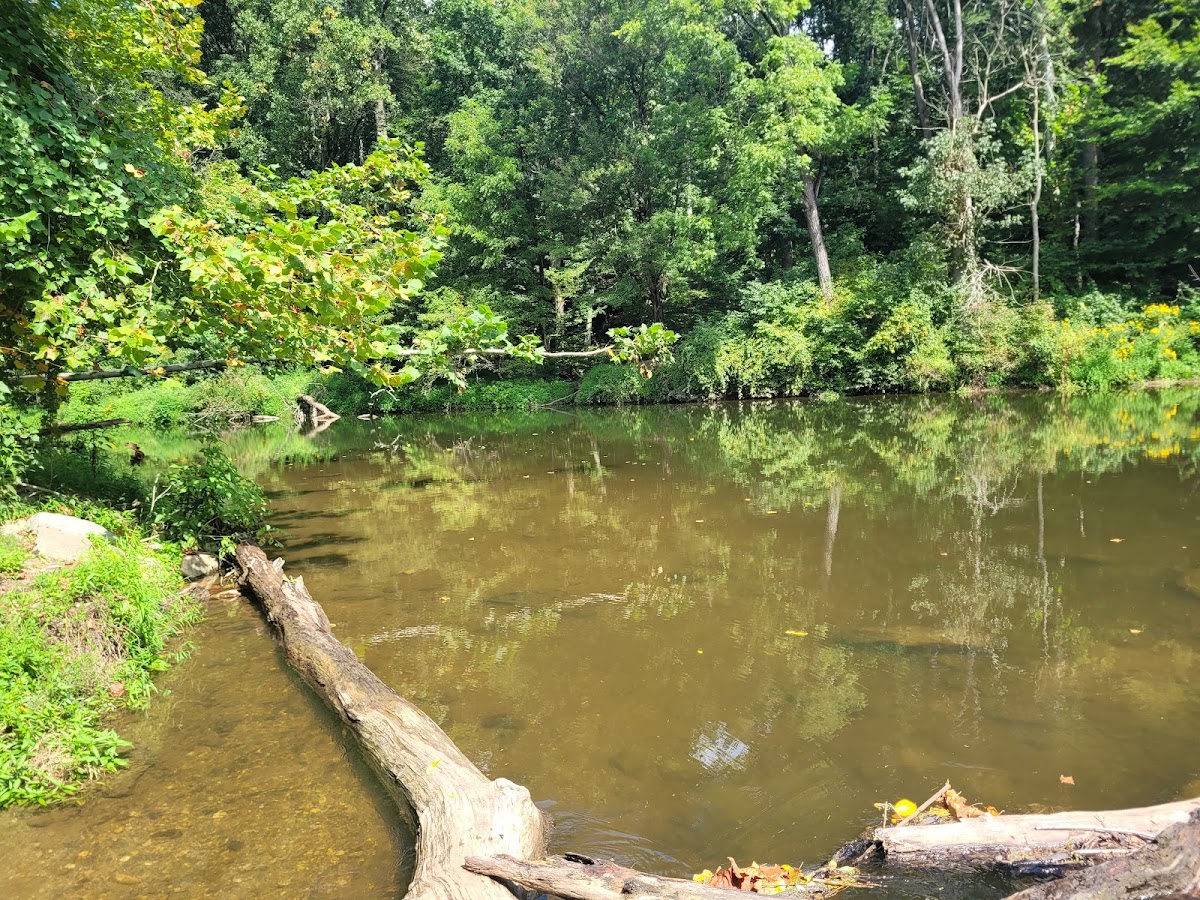 Coverdale Park