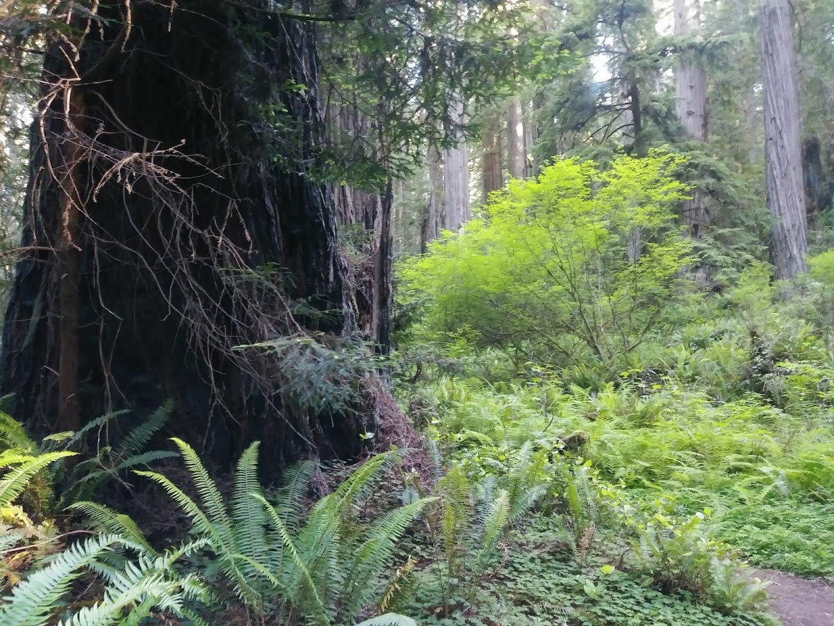 Walker Road