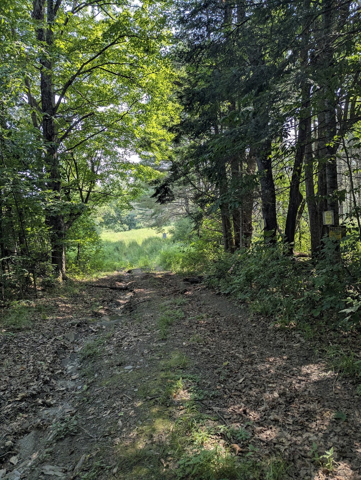 EM trail Johnson Road