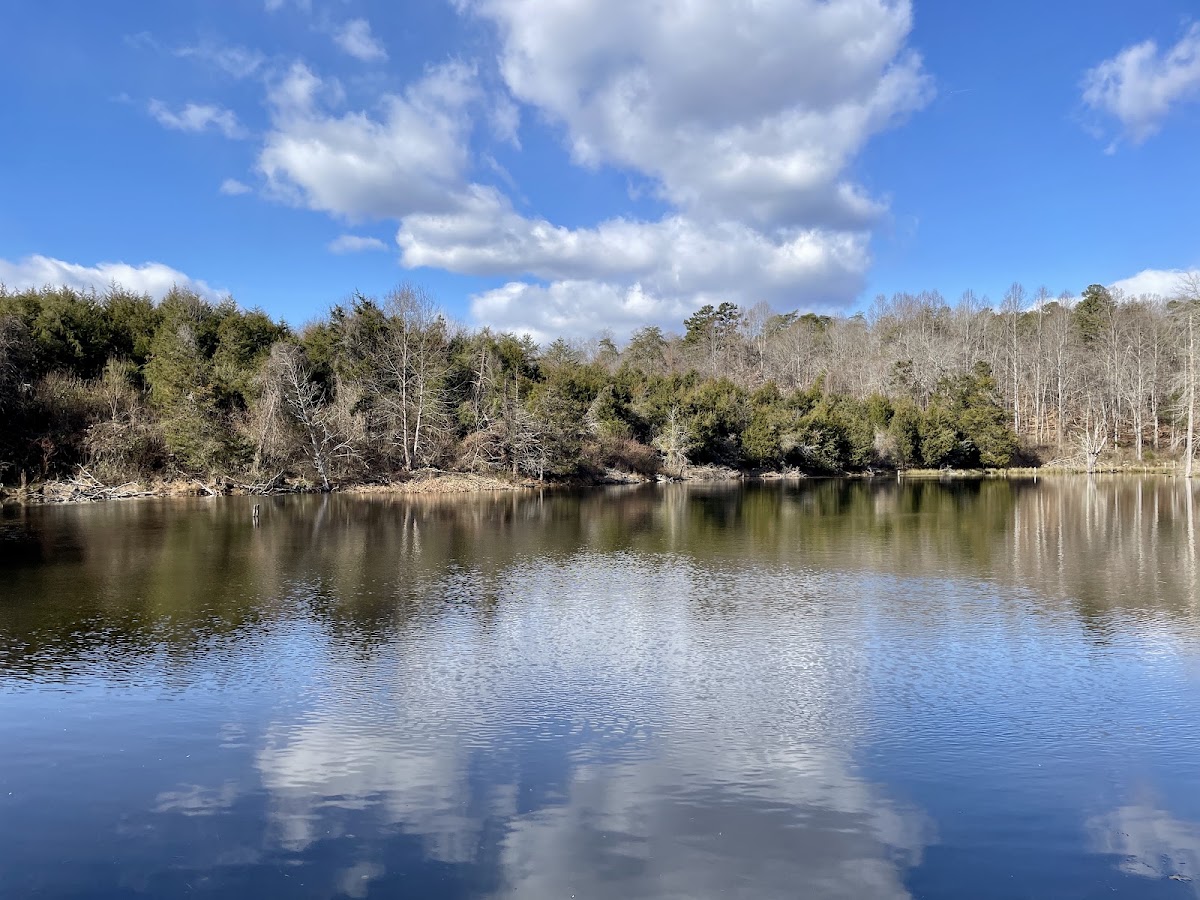 Biscuit Run Park