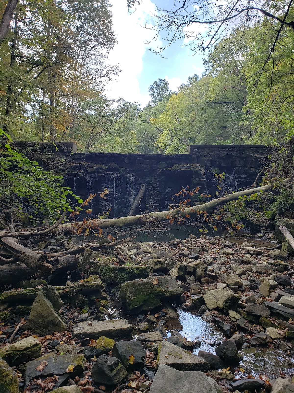 Norris Municipal Park and Forest