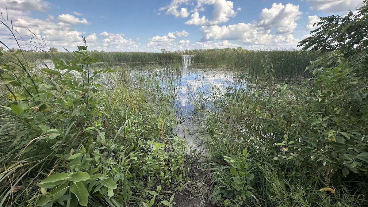 Lizard Lake Wildlife Management Area