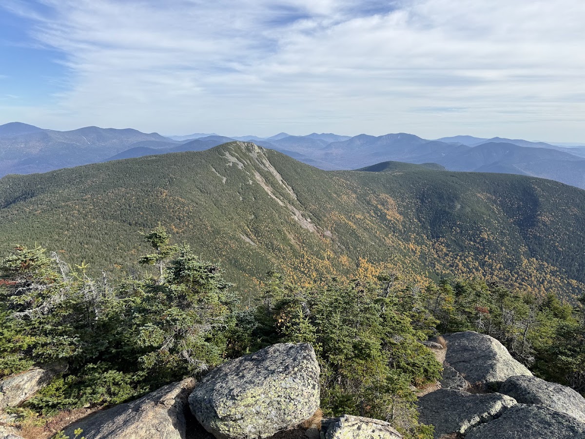 Second Presidential State Forest