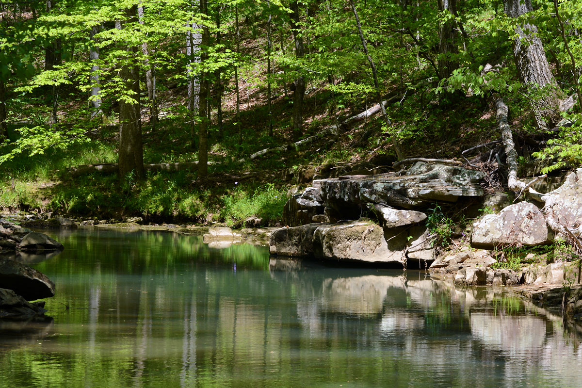 Max Creek