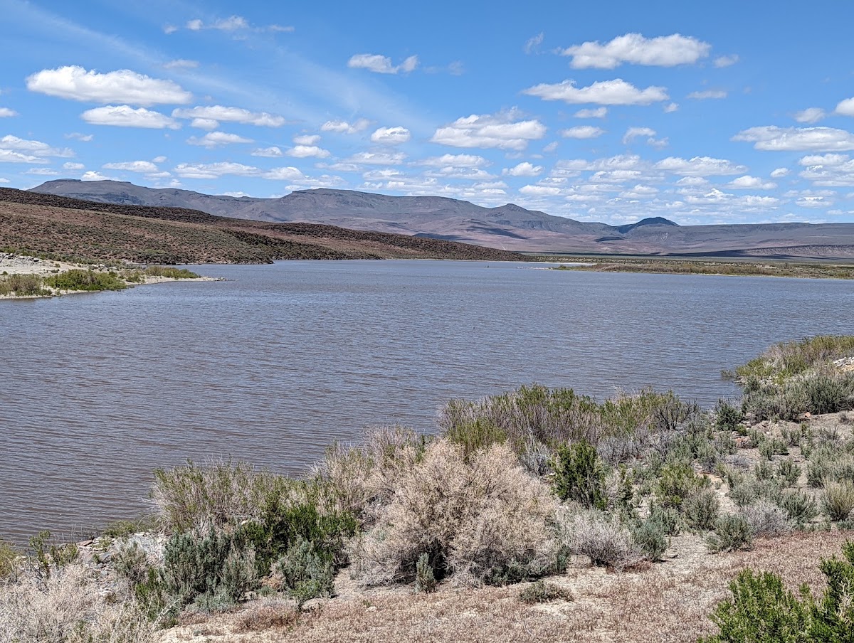 Mud Meadow Reservoir