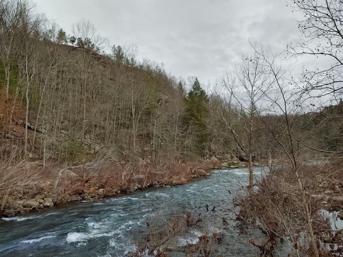 Daddy's Creek