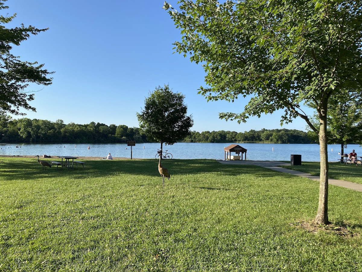 Island Lake State Recreation Area
