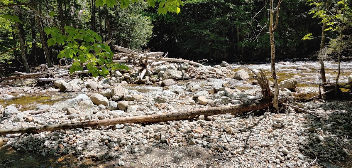 East Branch Ausable River