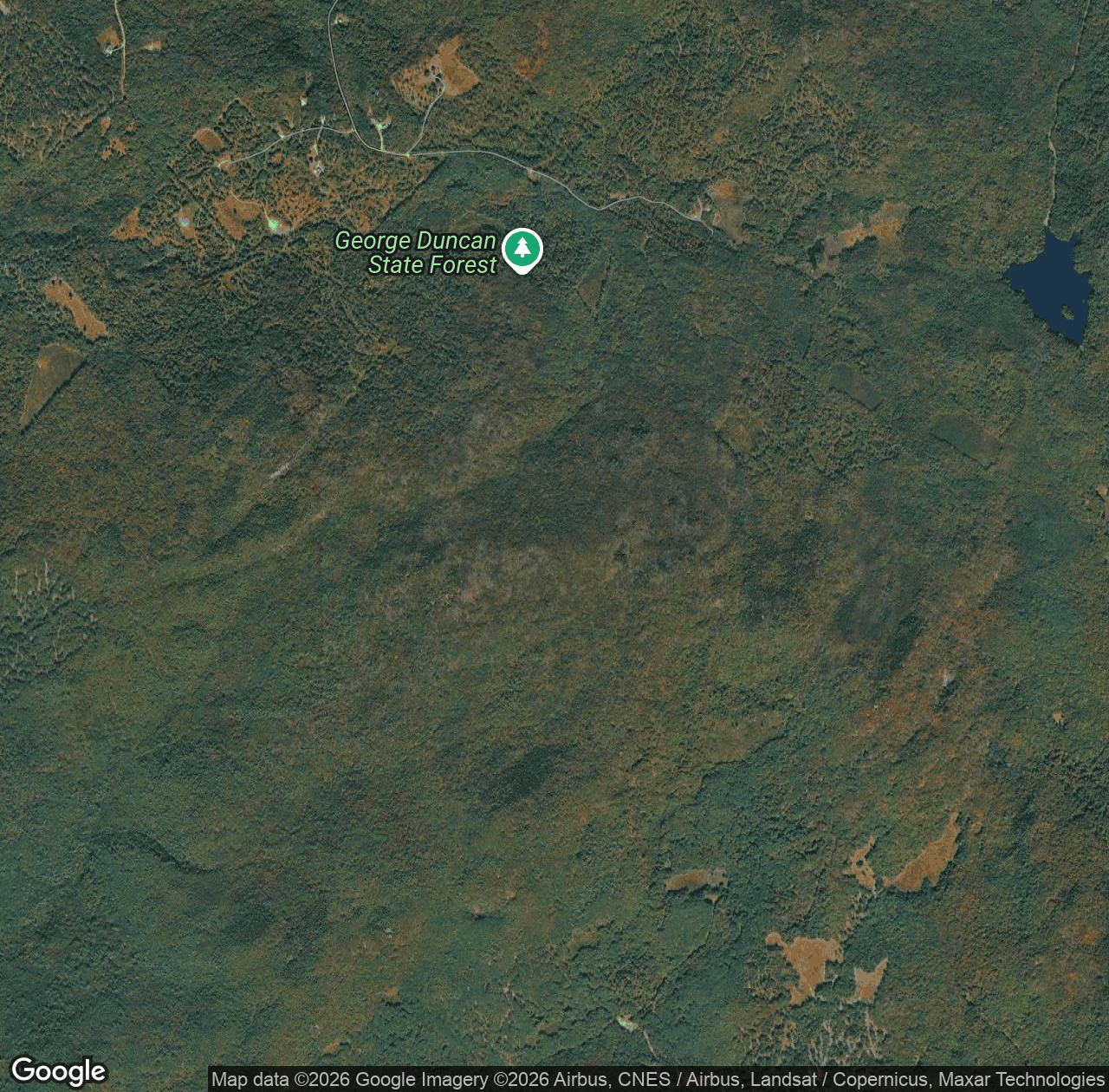 Hersey Mountain Forest