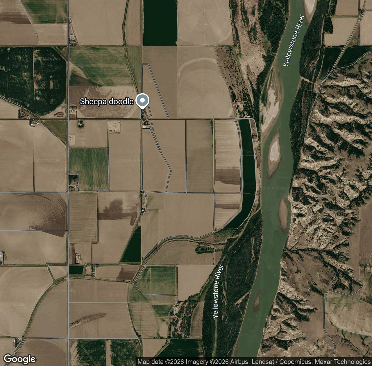 Yellowstone River