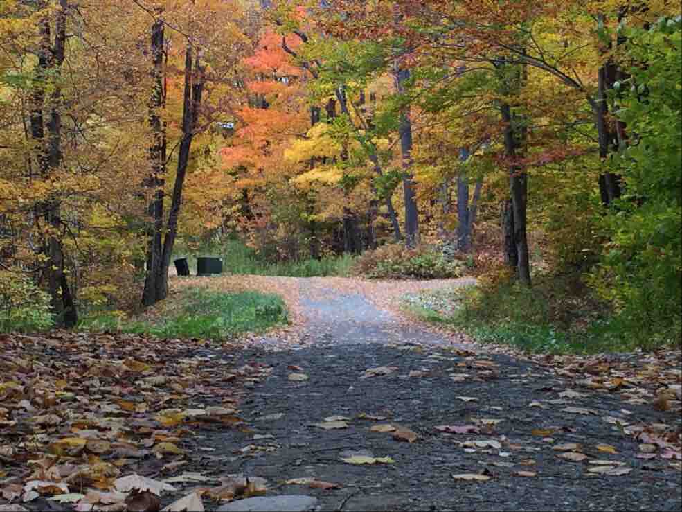 Blue Brook
