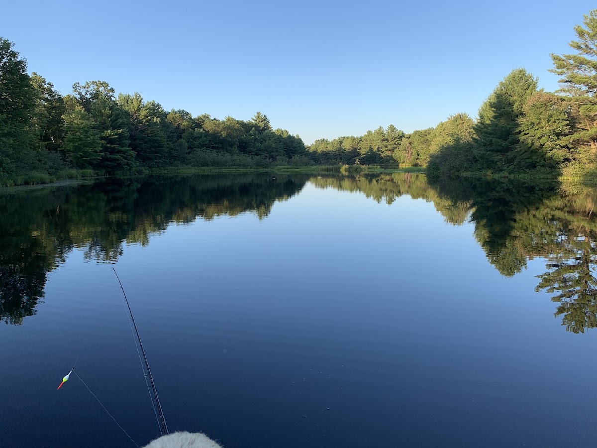 Potter Flowage 58